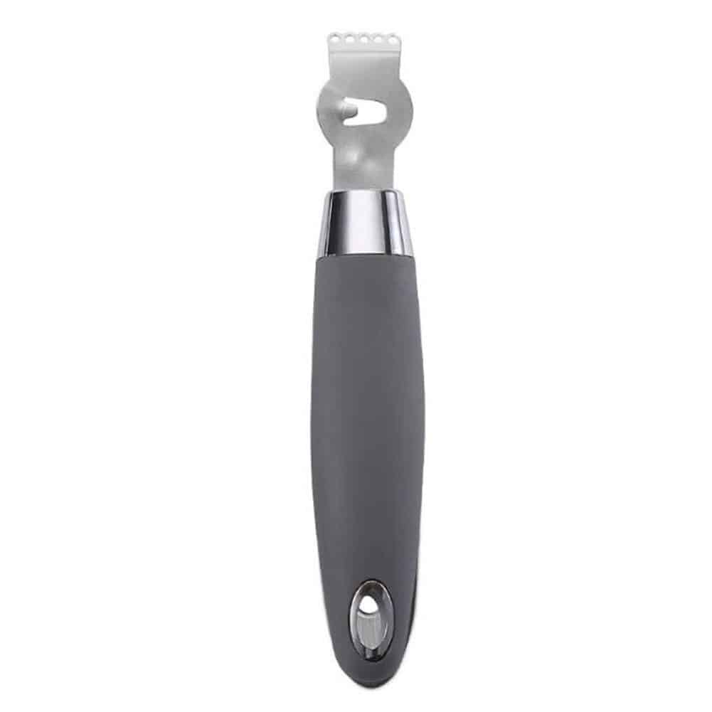 Zesteur professionnel